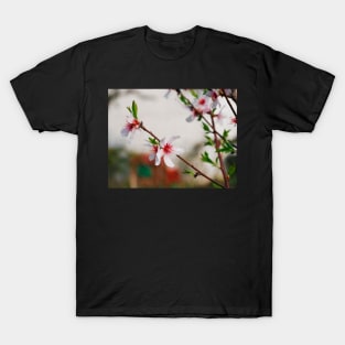 Almond Blossom T-Shirt